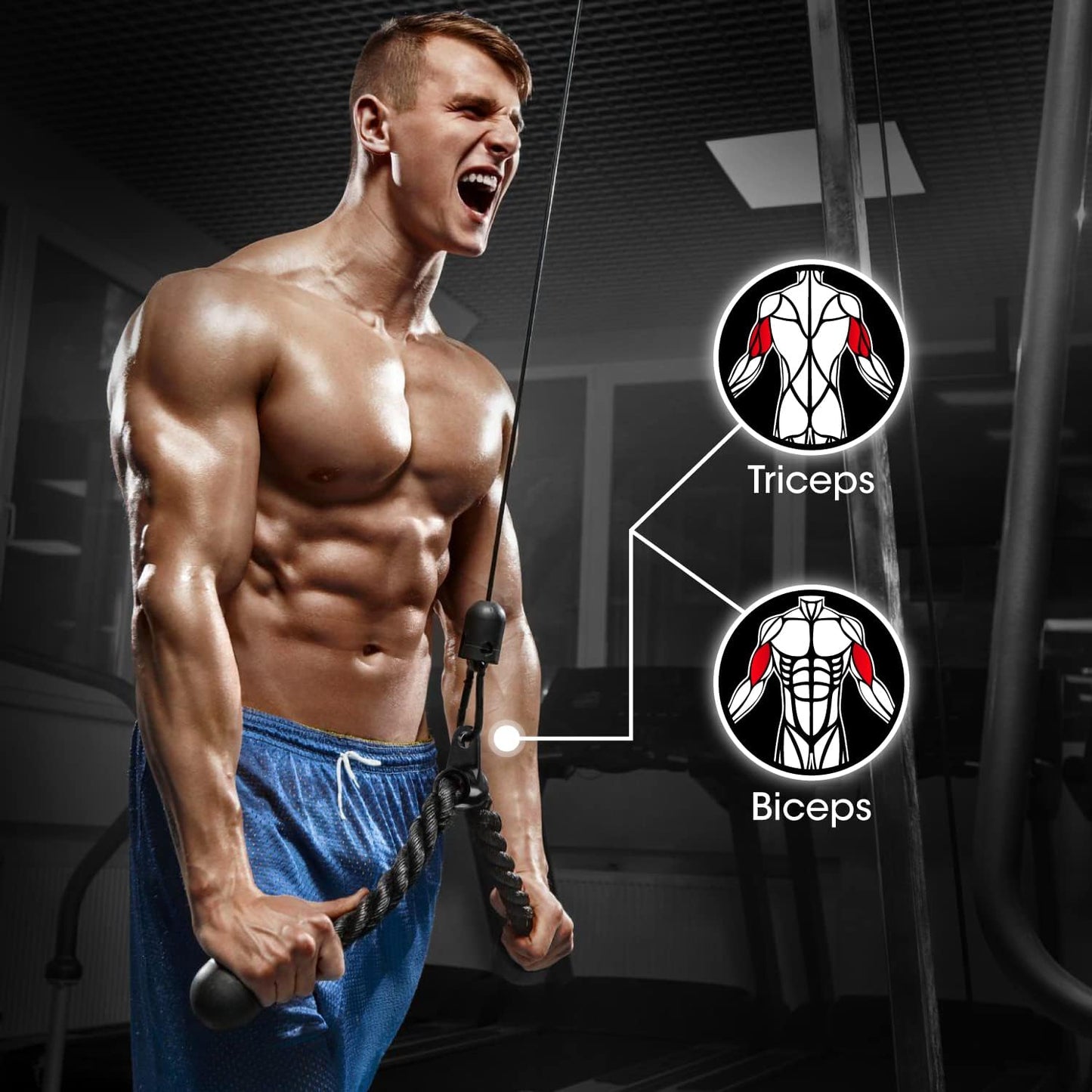 Ultimate Cable Machine Attachments Set: Heavy-Duty Tricep Straight Bar, V Bar, and LAT Pulldown Accessories for Home Gym - Supports Up to 880 lbs!