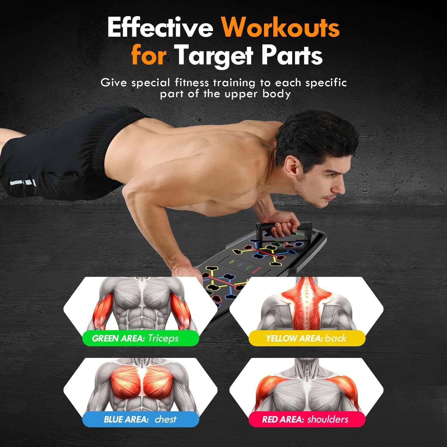 Ultimate Home Gym Set: Push-Up Board, Pilates Bar, Resistance Bands, Ab Roller & 20 Accessories for Full Body Workouts!